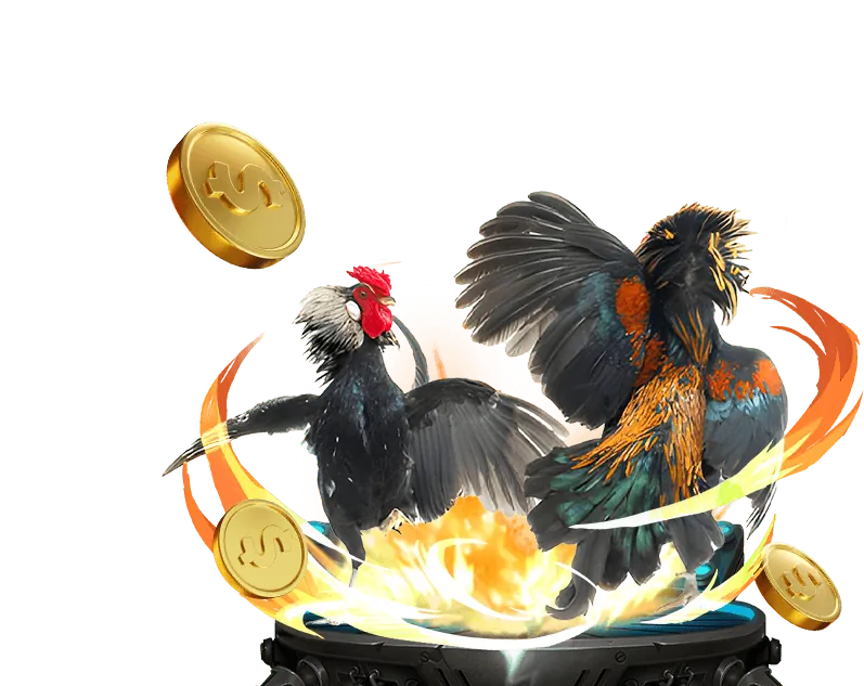 Truyền hình trực tiếp đá gà HD